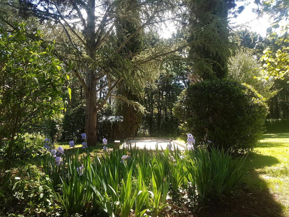 Bastide En Provence Apartment Auriol Bagian luar foto